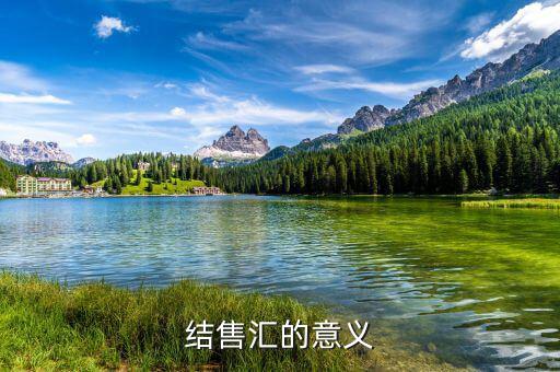為什么外匯結(jié)匯，結(jié)售匯的意義