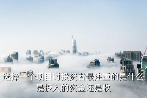 投資人最看重什么投資收益，投資者最看重的是什么呢