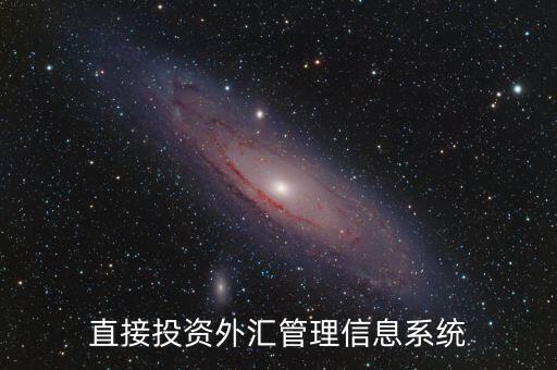 外資上什么傳到外管局應(yīng)用平臺，直接投資外匯管理信息系統(tǒng)