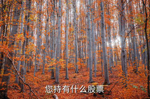 張正委持有什么的股票，香港中央代理人持有哪些股票