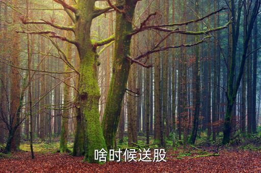 鐵嶺新城什么時(shí)候送股，大家都說(shuō)它出的中報(bào)好但我不知道怎么看我只想問(wèn)問(wèn)什么么時(shí)候