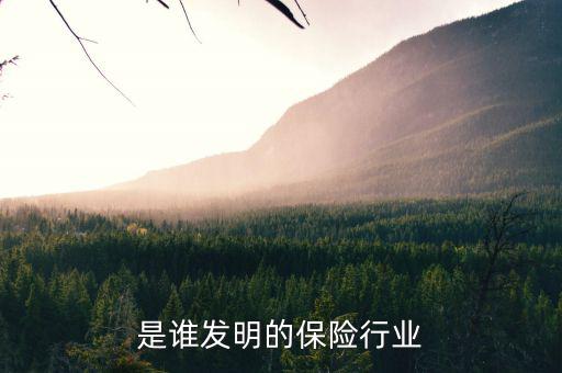 世界上第一家保險(xiǎn)公司是什么，哪位朋友可以說一下世界保險(xiǎn)發(fā)展史