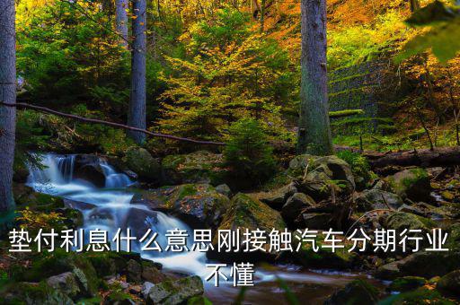 墊付利息是什么意思，紅利保險會自動墊付期間會出利息