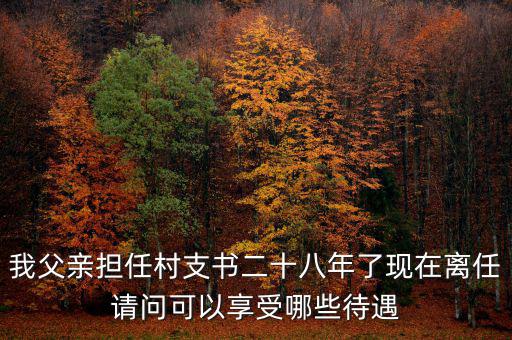 我父親擔(dān)任村支書二十八年了現(xiàn)在離任請問可以享受哪些待遇