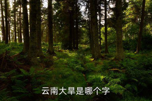 云南大旱是個(gè)什么字，云南大旱是哪個(gè)字