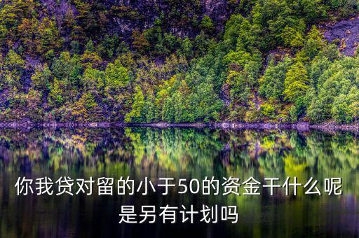 你我貸為什么我要投2萬(wàn)才能減50，你我貸對(duì)留的小于50的資金干什么呢是另有計(jì)劃嗎