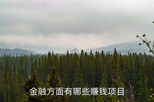 金融里什么賺錢(qián)，金融方面有哪些賺錢(qián)項(xiàng)目