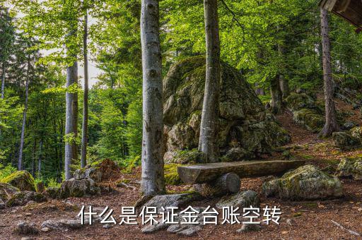 什么是資金空轉(zhuǎn)，資金沖轉(zhuǎn)的含義是什么名詞解釋