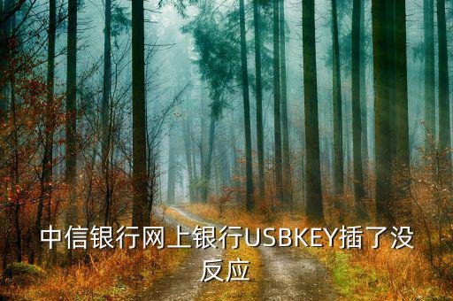 中信銀行插卡消費(fèi)為什么沒有反應(yīng)，中信網(wǎng)銀USBKEY插上沒反應(yīng)怎么回事求大神幫助