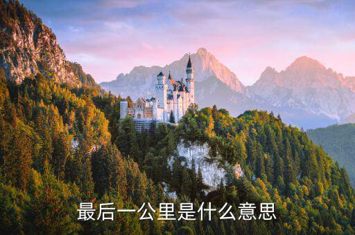 服務(wù)納稅人 最后一公里 是什么意思，最后一公里服務(wù)商指的是什么