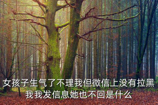 沒(méi)什么關(guān)于神華的信息這么少，我的手機(jī)不怎么回事發(fā)不信息的請(qǐng)問(wèn)是什么原因