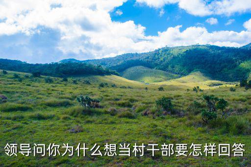 領(lǐng)導問你為什么想當村干部要怎樣回答