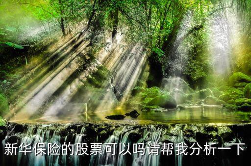 新華保險為什么股票漲這么多，新華保險的股票可以嗎請幫我分析一下