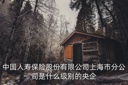 市屬國企是什么級別，省屬和市屬企業(yè)的界定標準是什么
