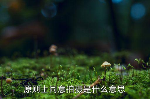 原則上同意是什么意思，原則上同意是什么意思