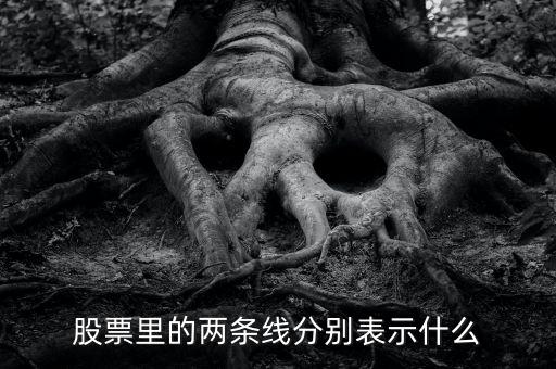 股票伴侶線代表什么，股票行情圖線的意義