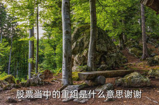 什么是重組，重組在電腦術(shù)語中什么意思