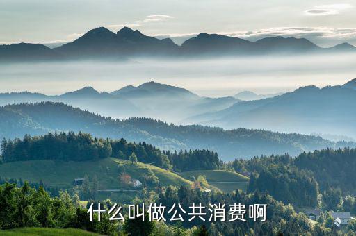 什么是公共消費，什么叫做公共消費啊