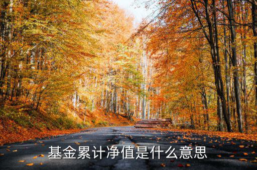 基金累計凈值是什么意思，基金凈值累計凈值各指什么
