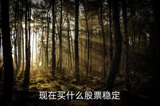 買(mǎi)什么股票比較穩(wěn)妥，現(xiàn)在買(mǎi)什么股票穩(wěn)定