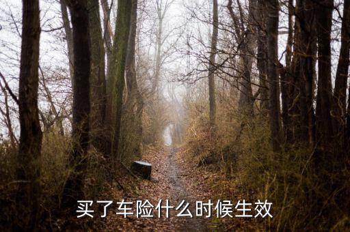 買(mǎi)了車(chē)險(xiǎn)什么時(shí)候生效