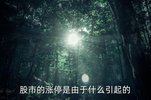 股票漲停跟什么有關(guān)系，股票開(kāi)盤就漲停受什么因素影響能否具體回答