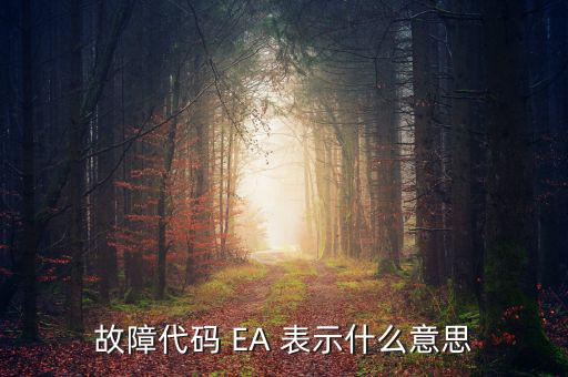 華泰ea什么意思，故障代碼 EA 表示什么意思