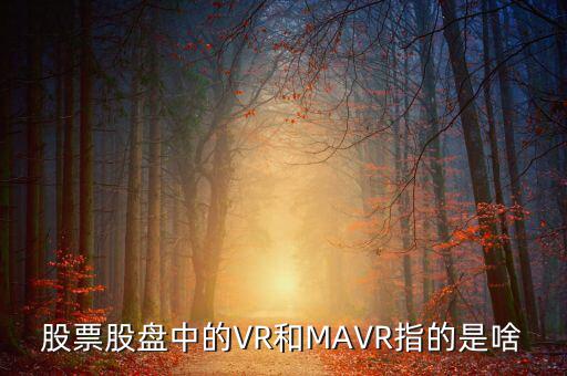 vr股是什么，股票股盤中的VR和MAVR指的是啥