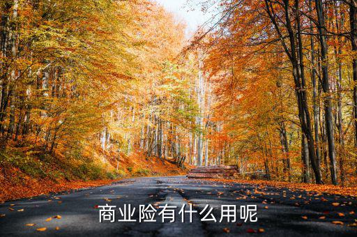 交商業(yè)保險(xiǎn)有什么用，商業(yè)險(xiǎn)有什么用呢