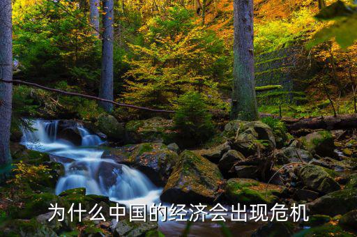 為什么中國將發(fā)生經(jīng)濟(jì)危機(jī)，中國為什么會面臨經(jīng)濟(jì)危機(jī)