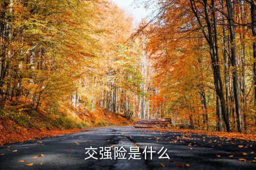 什么是交強險，交強險是什么