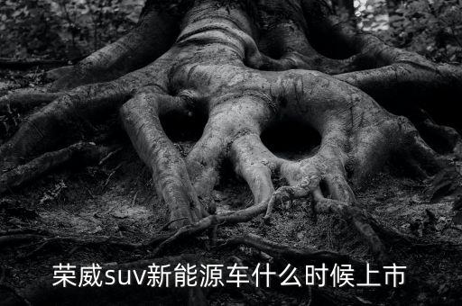 榮威suv新能源車什么時(shí)候上市