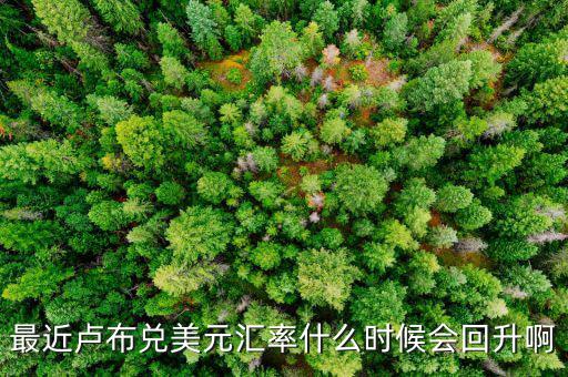 盧布什么時候能回升，最近盧布兌美元匯率什么時候會回升啊