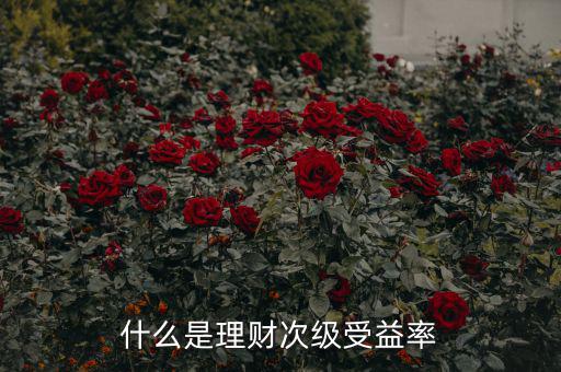 次級收益是什么，什么是理財次級受益率