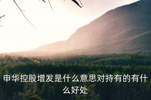申華控股是什么板塊，申華控股怎么樣