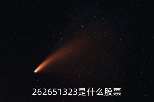 208393股票是什么，262651323是什么股票
