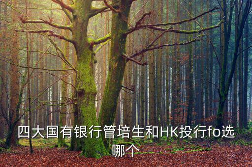 四大去投行有什么優(yōu)勢，女 研究生畢業(yè)想進投行 考研想考北大 清華 復(fù)旦或者香港大學 請問這四