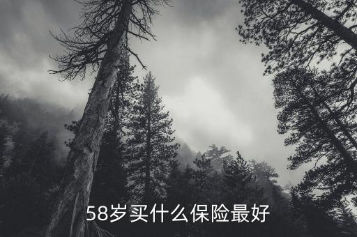 58歲女性做什么保險，58歲女性可以辦哪些保險啊