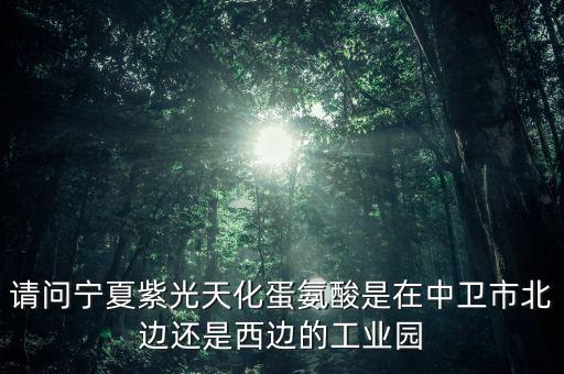 請(qǐng)問(wèn)寧夏紫光天化蛋氨酸是在中衛(wèi)市北邊還是西邊的工業(yè)園