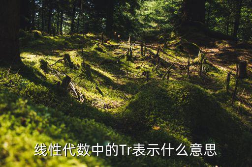 一陽穿四線說明什么，一陽穿四線成交增量的股票會漲嗎