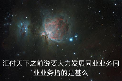 匯付天下之前說要大力發(fā)展同業(yè)業(yè)務同業(yè)業(yè)務指的是甚么