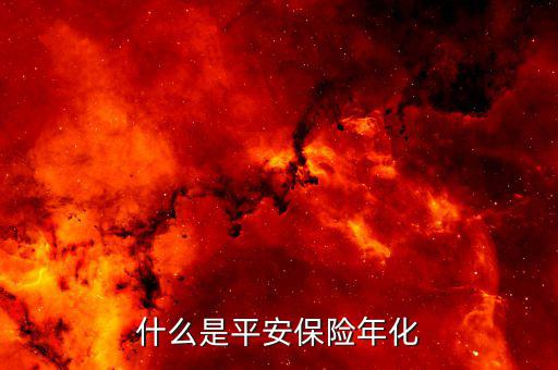 什么是年化保費，什么是年初保險費