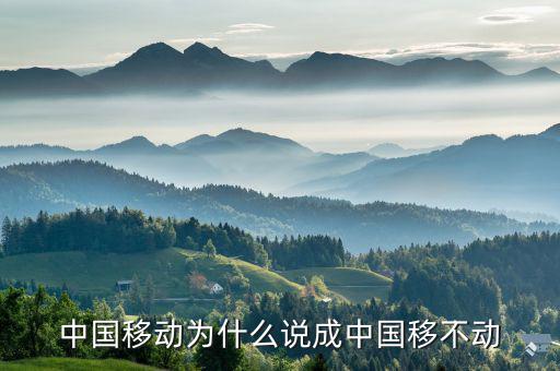 中國(guó)移動(dòng)為什么不轉(zhuǎn)型，中國(guó)移動(dòng)n1屏幕怎么不旋轉(zhuǎn)