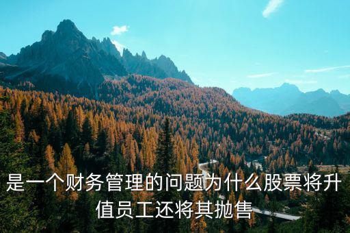 為什么要拋售股票，是一個(gè)財(cái)務(wù)管理的問(wèn)題為什么股票將升值員工還將其拋售