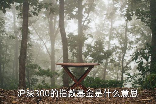 基金滬深300什么，滬深300的指數(shù)基金是什么意思