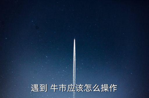 遇到 牛市應(yīng)該怎么操作