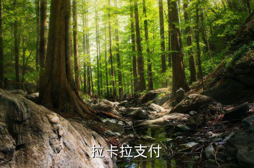 拉卡拉便利支付是什么，什么是銀聯(lián)拉卡啦支付