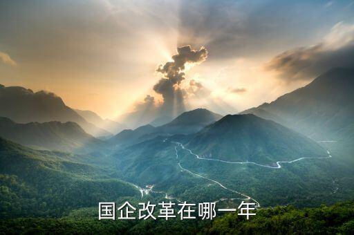 國企改革什么時候開盤，國有企業(yè)改革是什么時候