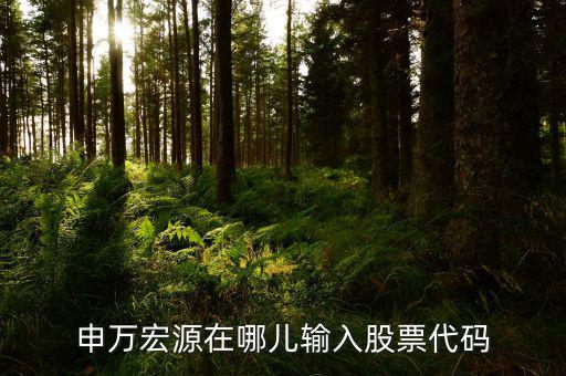 申萬宏源為什么用字母查不到股票，申萬宏源在哪兒輸入股票代碼