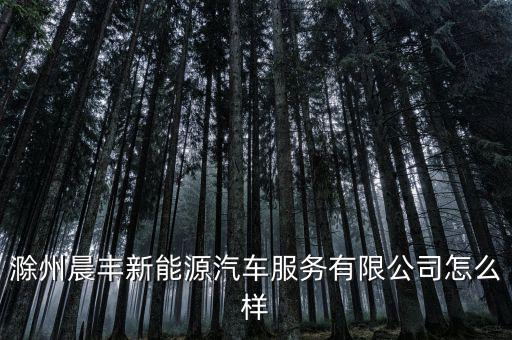 滁州晨豐新能源汽車(chē)服務(wù)有限公司怎么樣